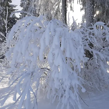 Waldblick Apartment Oberhof (Thuringia)
